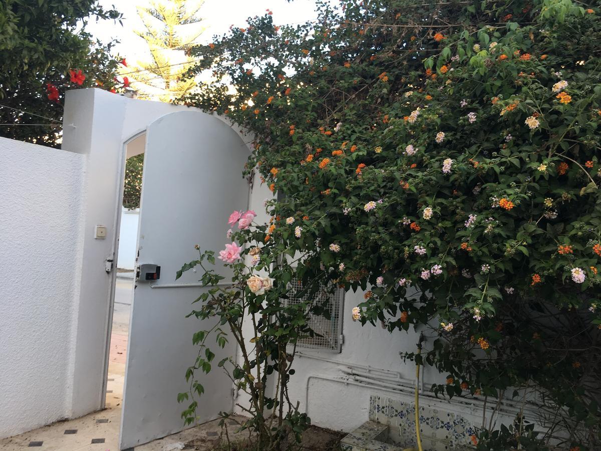 Studio Marsa La Marsa Exteriör bild